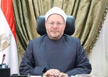 Sisi aware of danger of terror ideologies on world–Mufti