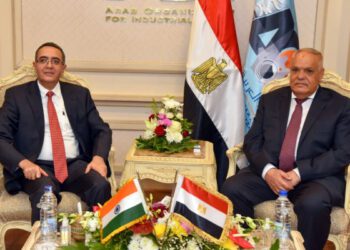 Egypt, India discuss boosting cooperation in training human cadres