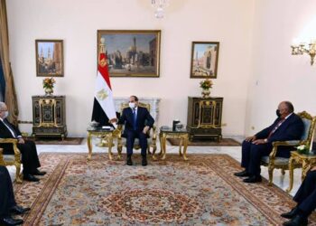 Egypt abiding by historical rights to Nile waters, need for binding accord on dam filling rules