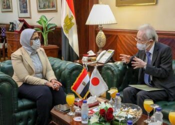 Egypt, Japan discuss boosting health co-operation amid coronavirus