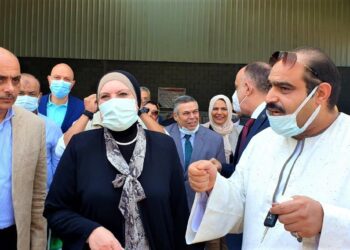 minister : Govt acting to expand investments in Luxor