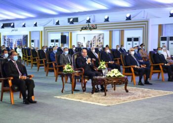 Sisi: State seeks to restructure not eliminate subsidies