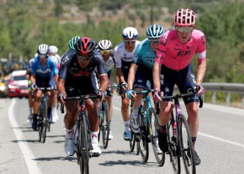 Valverde crashes out of Vuelta