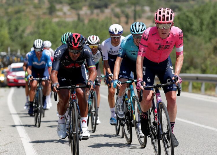 Spanish cyclist Alejandro Valverde has crashed out of the Vuelta a Espana on the seventh stage.