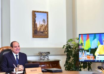 Sisi rolls out Egypt’s achievements to G20