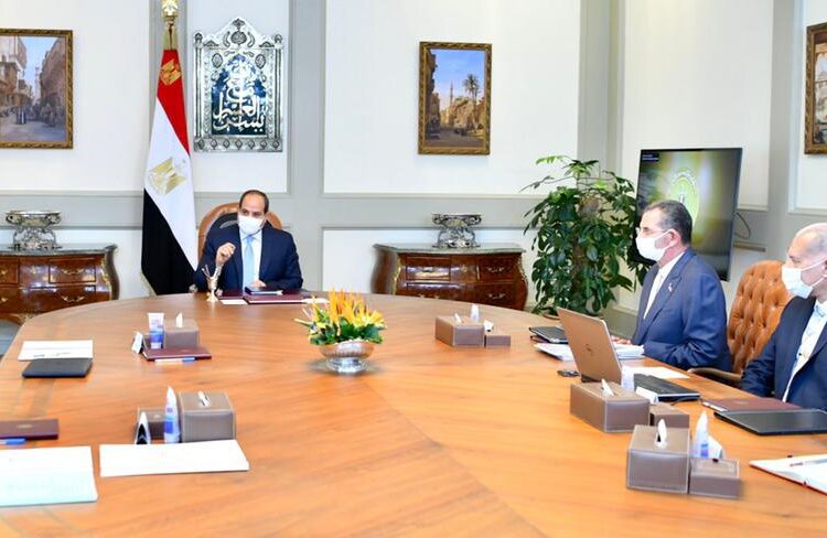 Sisi directs Martyrs Fund to upgrade activities, develop resources in interest of beneficiaries 1 - Egyptian Gazette