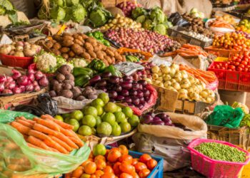 Egypt’s agricultural exports hit 4.4 mn tons in 8 months