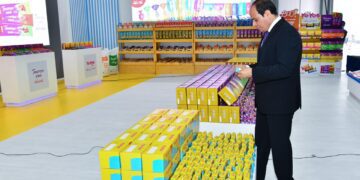 Sisi opens ‘Silo Foods’ industrial complex