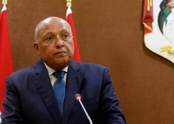 Egypt, Japan FMs hold talks in Cairo