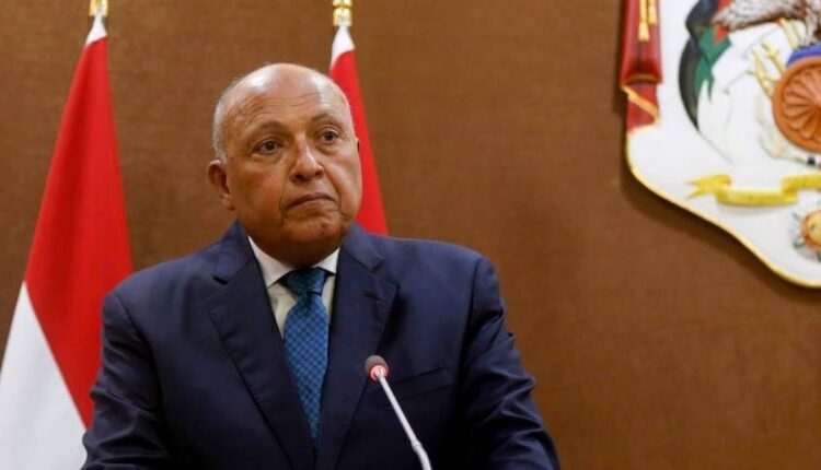 Foreign Minister Sameh Shoukri