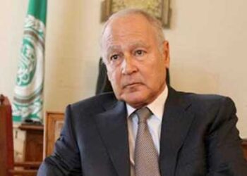 Abul Gheit probes with Japanese FM Arab-Japanese co-operation