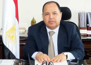 Finance minister: Presidential directives to turn Egypt into developed int’l logistics zone
