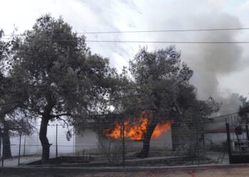 Greece wildfires: Another blaze breaks out on Evia island
