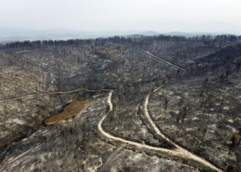 Greek wildfires a major ecological catastrophe, PM says