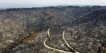 Greek wildfires a major ecological catastrophe, PM says