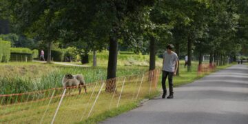 After UN climate report, individuals seek to do their part