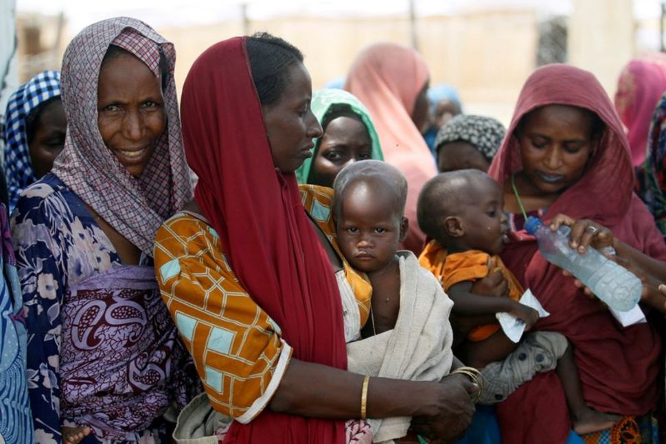 Millions of children go hungry in northeast Nigeria - Egyptian Gazette