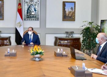 Sisi: New  axial  roads to serve as arteries of development, integrated life for citizens
