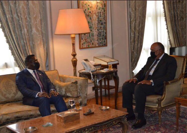 FM for intensifying efforts to combat terrorist groups in Sahel region 1 - Egyptian Gazette