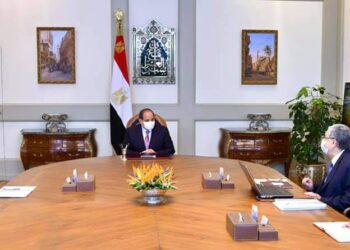 Sisi urges regular review of construction, technical works in Decent Life initiative