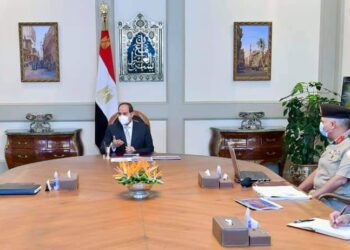 President Sisi reviews safety factors at Dabaa power plant