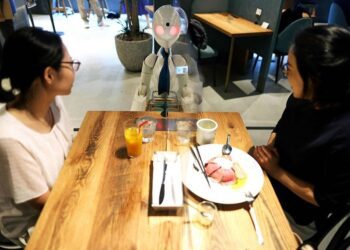 Tokyo robot cafe offers new spin on disability inclusion