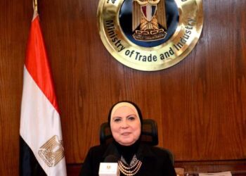 Trade min. orders restructuring Egyptian side to Egyptian-Nigerian business council