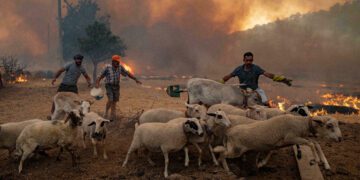 Deadly wildfire races towards Turkish power plant