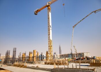 Capriole the 1st to sell LINX after finalizing 35% constructions