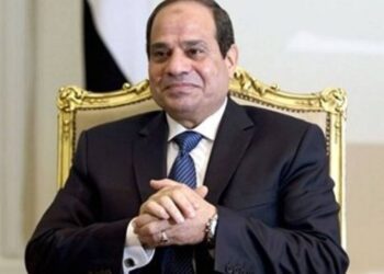 Sisi lauds handball team for heroic performance in Tokyo semis