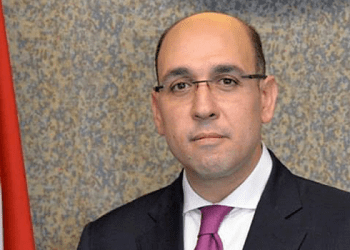 Egypt condoles with Niger, Burkina Faso over attacks on their borders