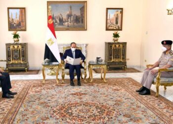 Egypt stresses support for Iraq stability, security