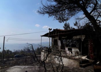 Greek wildfires: Hundreds of firefighters battling flames