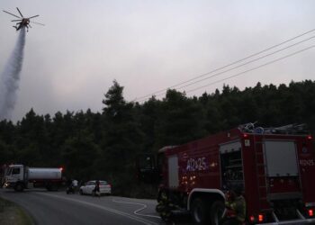 Greek wildfire burns through pine forest for 4th day