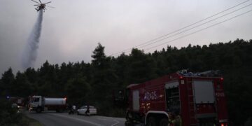Greek wildfire burns through pine forest for 4th day 1 - Egyptian Gazette Greek wildfire burns through pine forest for 4th day