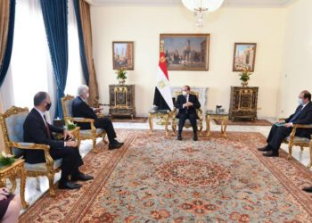 Sisi reaffirms importance of boosting co-operation with US