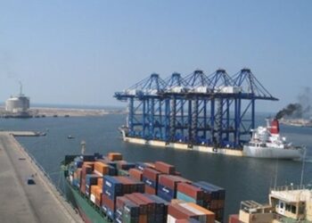 28 container, cargo ships handled at Port Said Port
