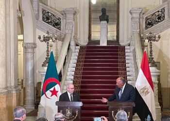 Egypt, Algeria FMs stress strong co-operation ties between two countries