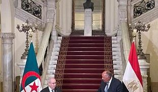 Egypt, Algeria FMs stress strong co-operation ties between two countries 1 - Egyptian Gazette Egypt, Algeria FMs stress strong co-operation ties between two countries
