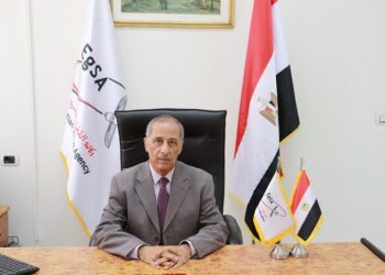 Egyptian Space Agency: Launching 4 satellites in 2022