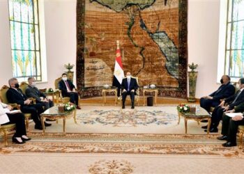 Sisi, Mourão discuss GERD developments, regional issues