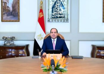 Sisi: Humanity is going through its most difficult test in years
