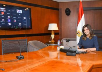 ‘State working hard to address illegal immigration’