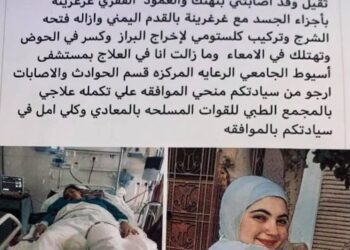 Sisi orders offering healthcare to student hit by truck