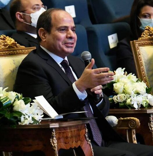 Leaders of political parties laud Egypt's human rights strategy 1 - Egyptian Gazette