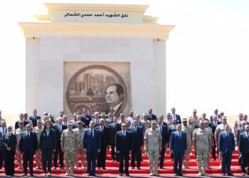 UPDATE 4- SCA chief: Sinai development top priority, gains unprecedented support