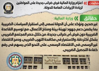 Egypt denies willingness to levy new taxes