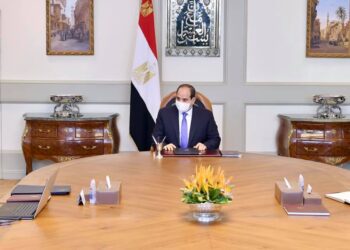 Sisi orders automating court system, litigation procedures