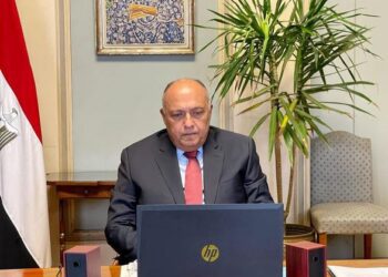 Egypt FM necessities restoring Libya’s full stability