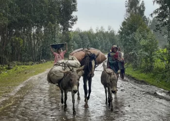 At scene of Ethiopia’s new killings, some fight, some flee